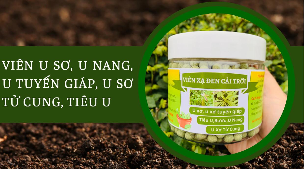 viên xạ đen u tuyến giáp, u sơ tử cung, u nang, tiêu u, bướu